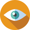 vision-1-1